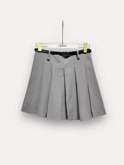 Aepleated Trapeze Skirt