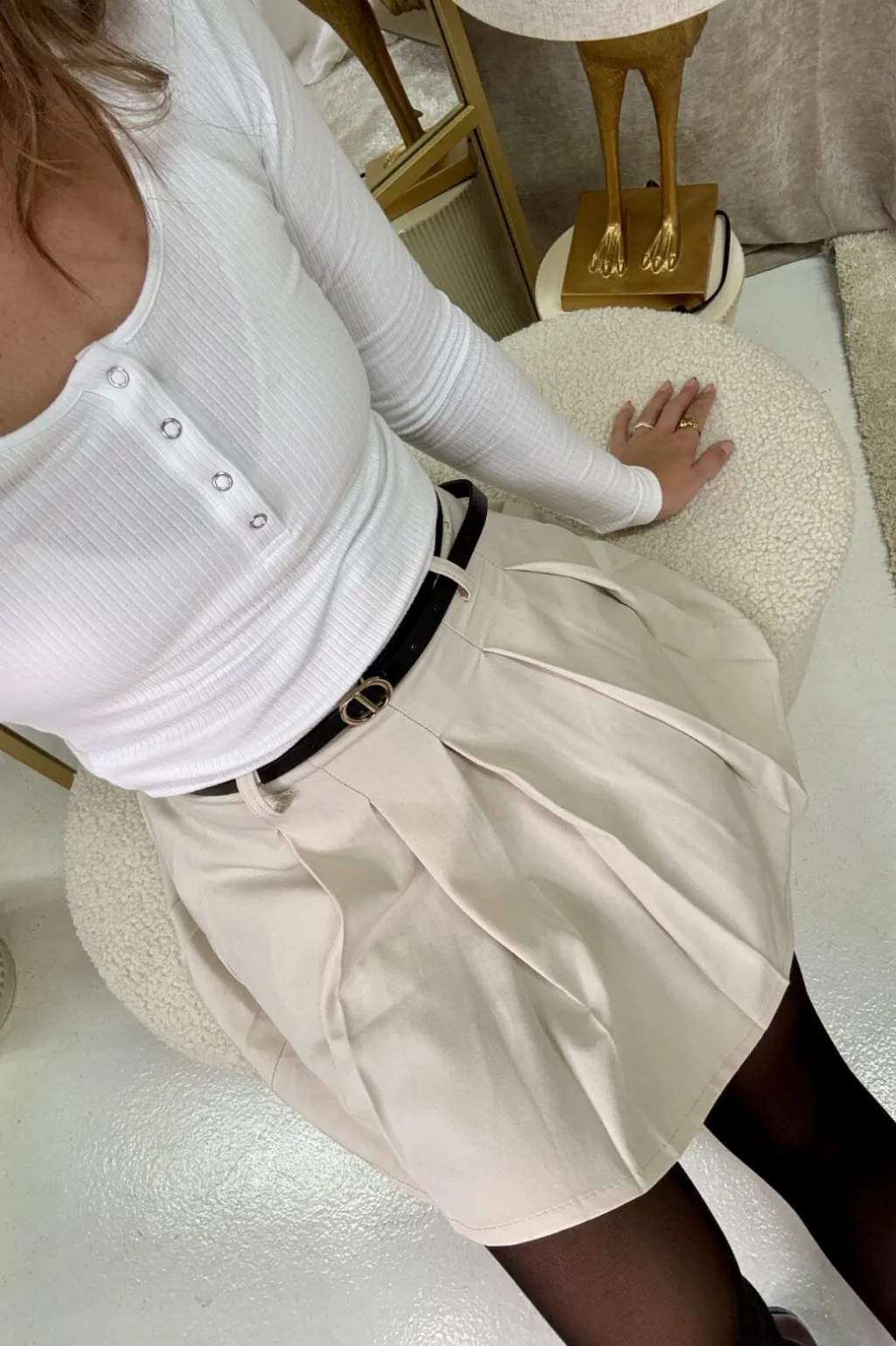 Aepleated Trapeze Skirt