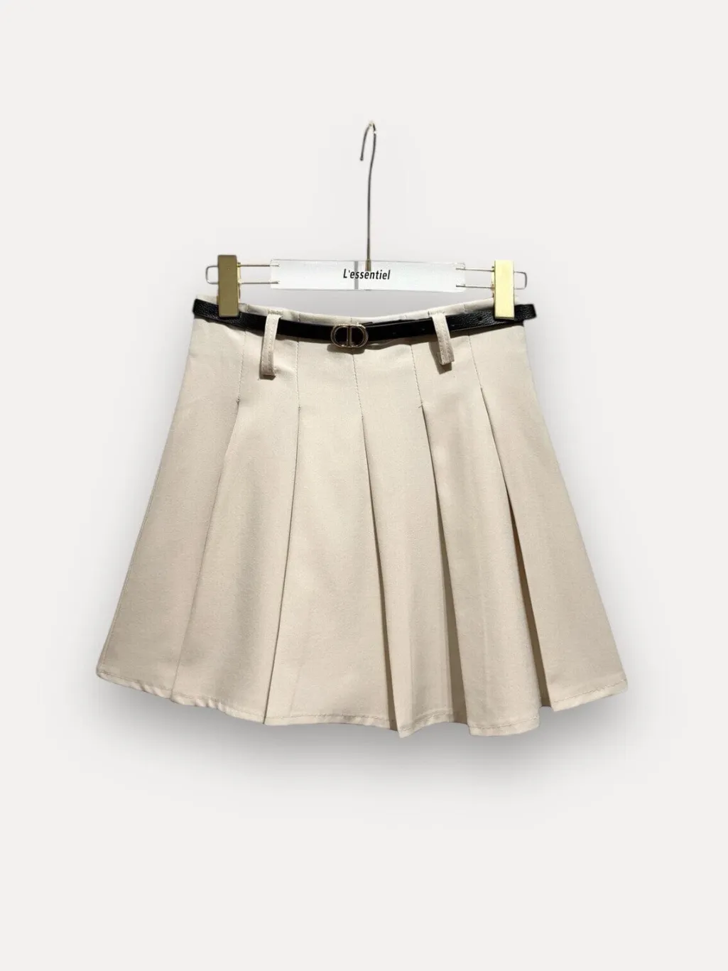 Aepleated Trapeze Skirt