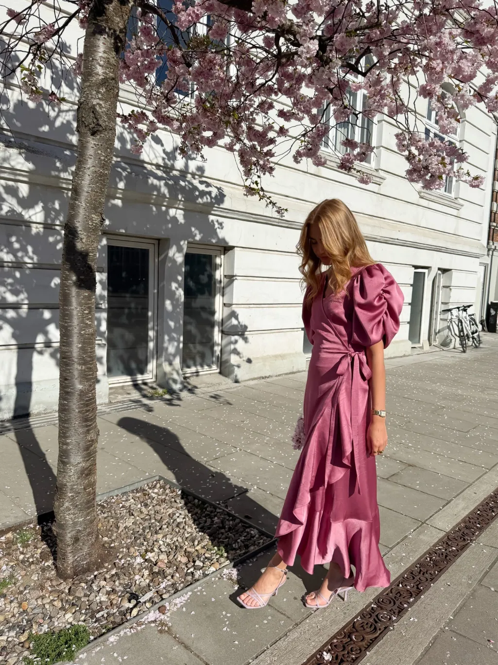Avsinda Dress AV4922