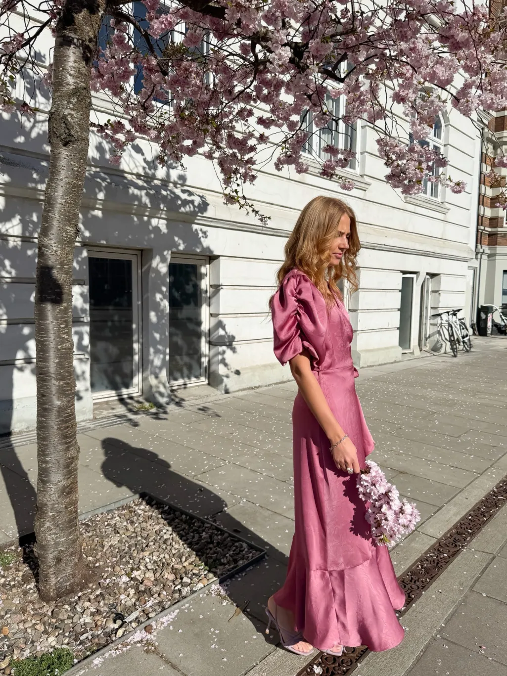 Avsinda Dress AV4922
