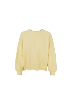 Bcevy Raglan Sweatshirt 41121