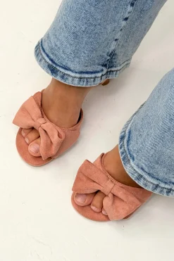 Blchrysanthemum Stiletto