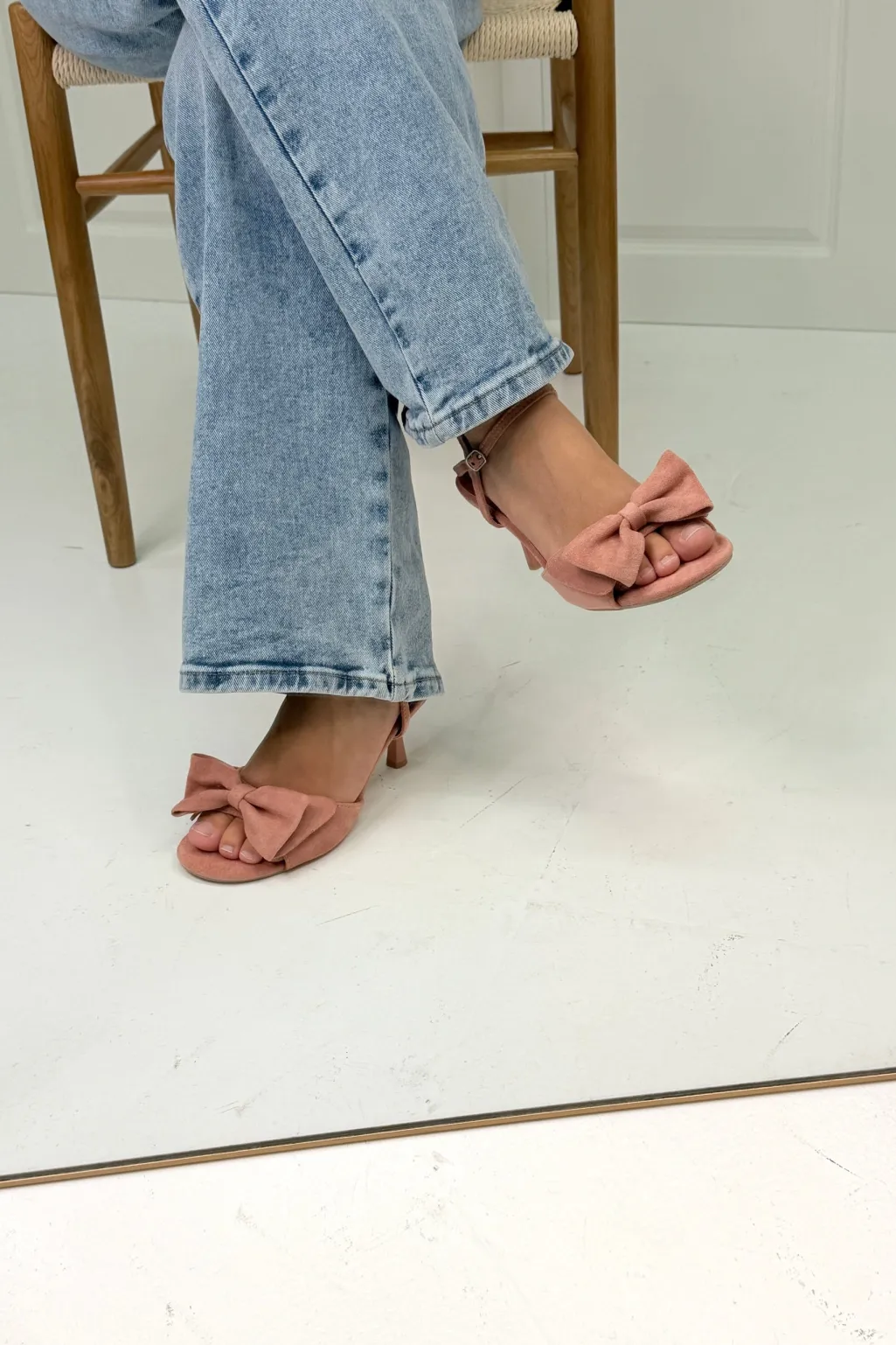 Blchrysanthemum Stiletto