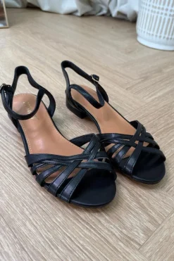 Blgeranium Sandals