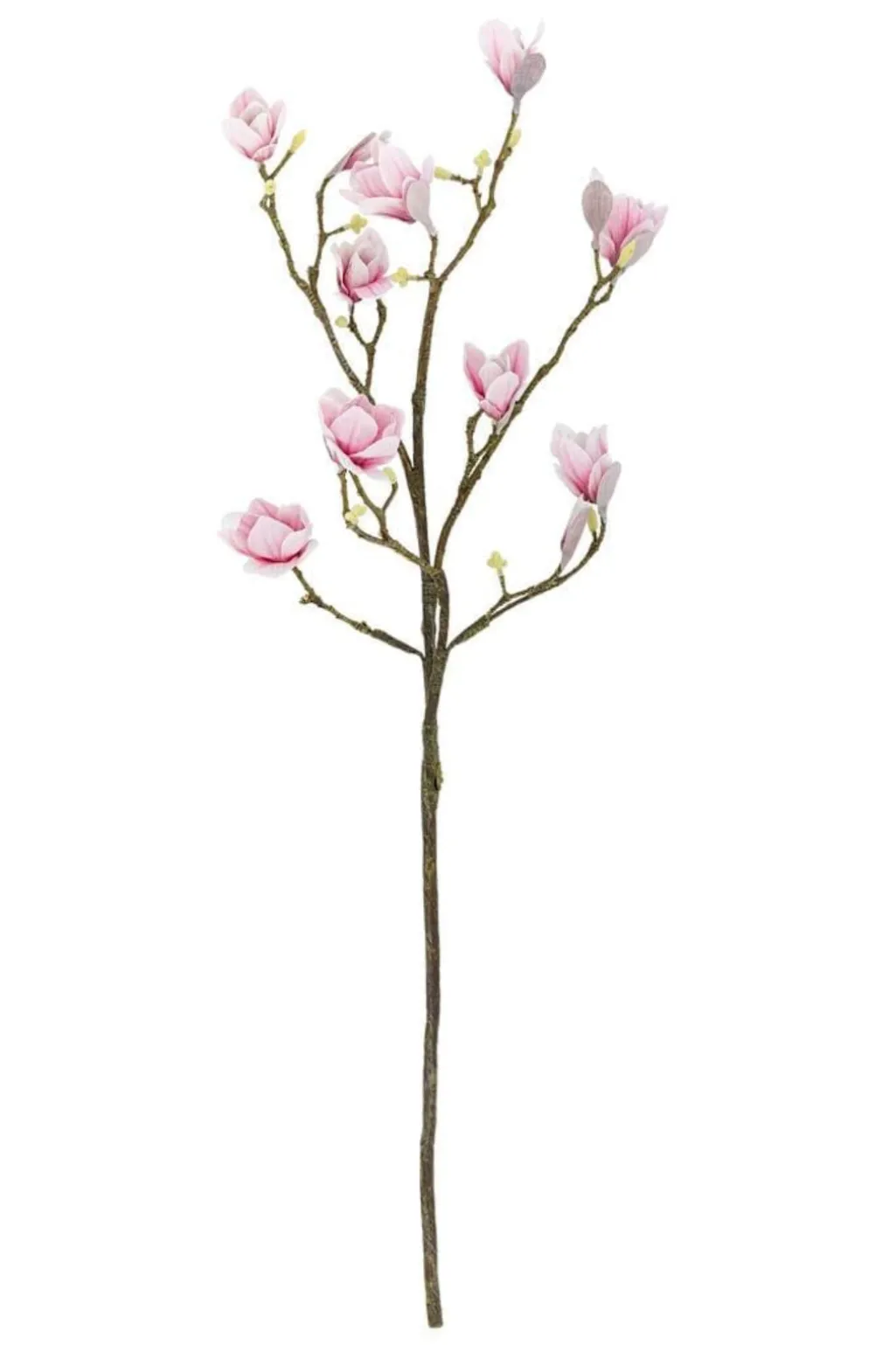Bvmagnolia Gren, Rosa, Kunstige Blomster 82072844