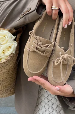 Cssavannah Suede CS8631