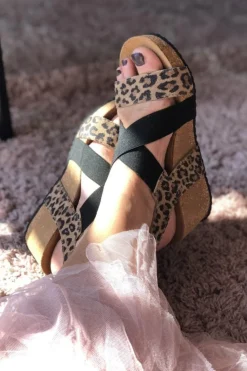 Csstacia Leopard 20 CS1800