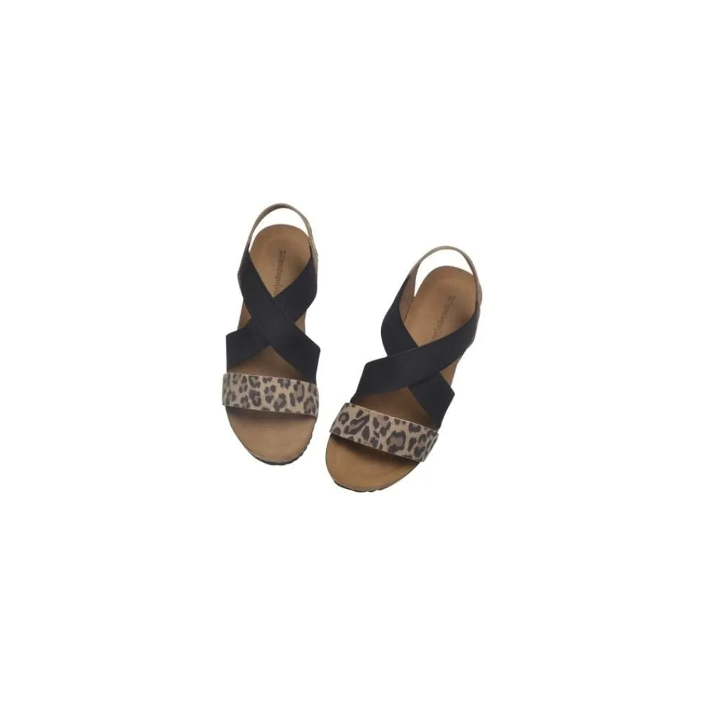 Csstacia Leopard 20 CS1800