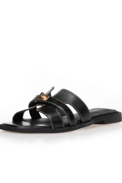 Cswomen'S World CS8463