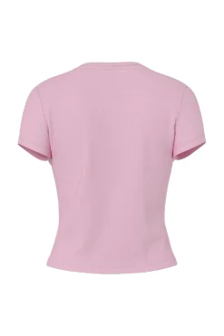 Hdbrooke Fitted Cropped T-Shirt 32000670