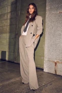 Hlanicole Pleat Pant HL10369