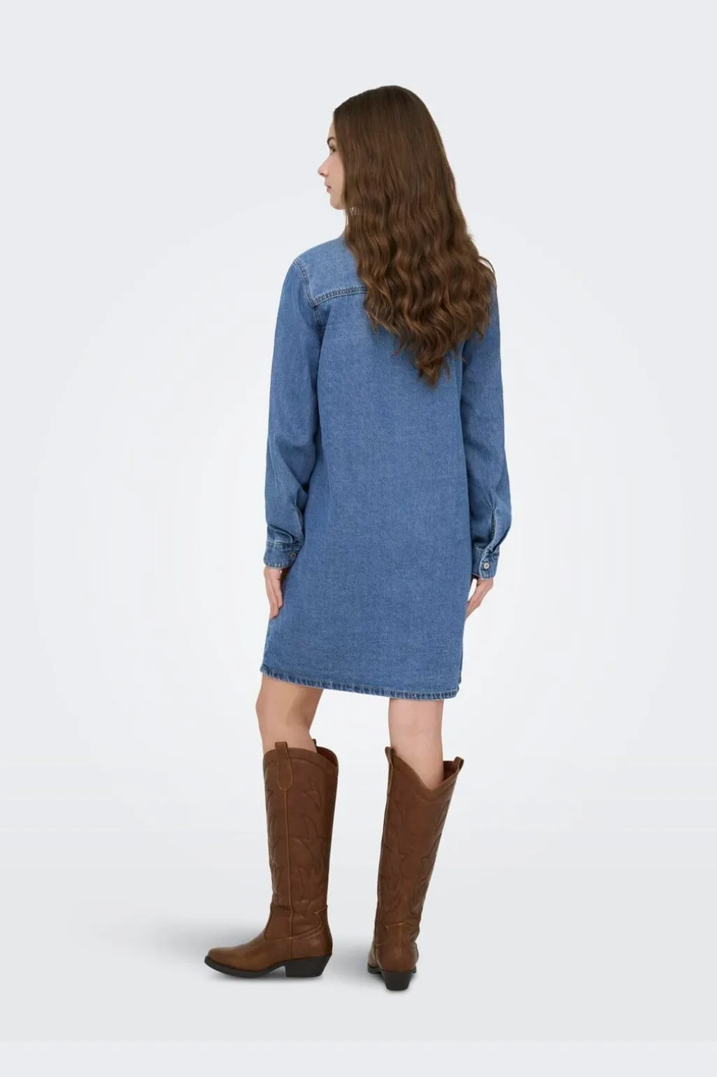 Onllisa L/S Dress Gua