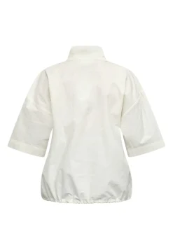 Spelias-Ss 19826