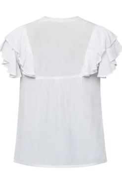 Spimsa-Ss 18508